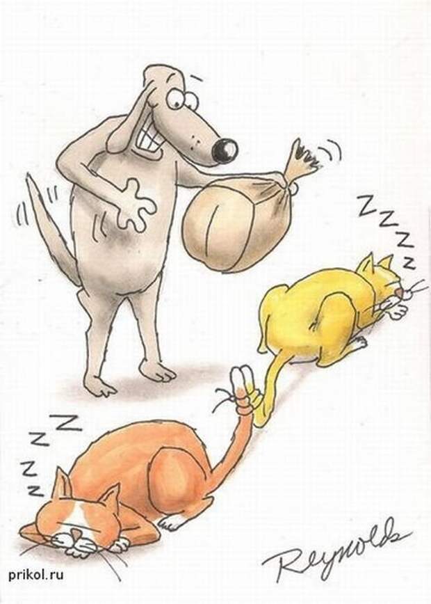 КАРИКАТУРЫ КАРИКАТУРЫ