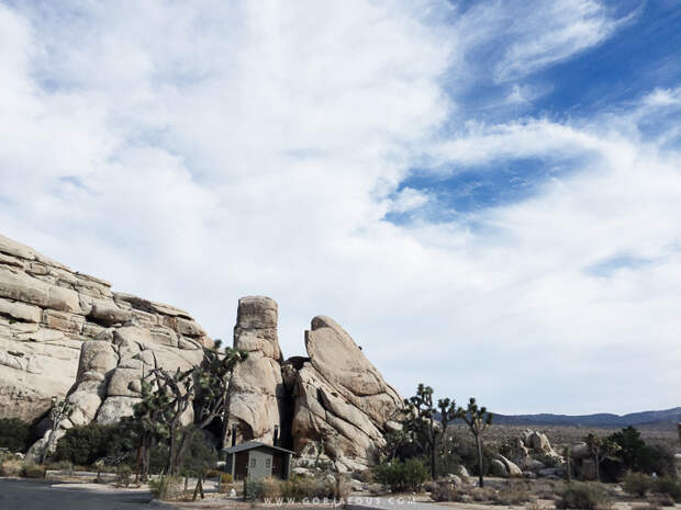Joshua-Tree-National-Park-14.jpg