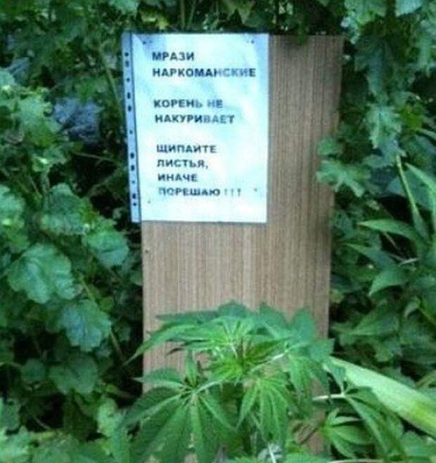 Объявления и надписи