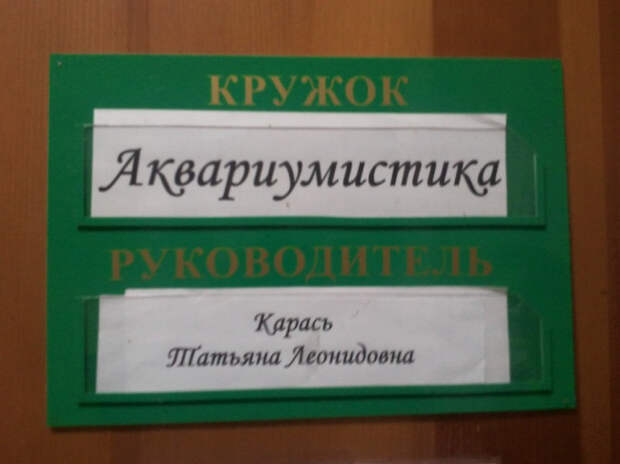 смешная фамилия