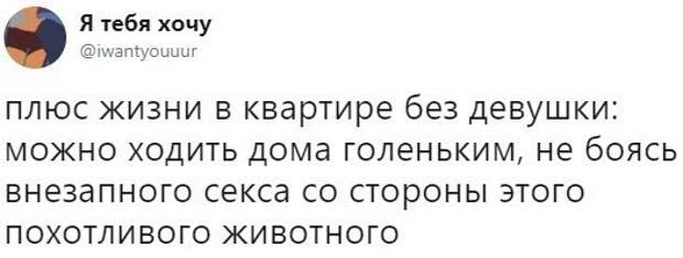 У них только одно на уме У них только одно на уме