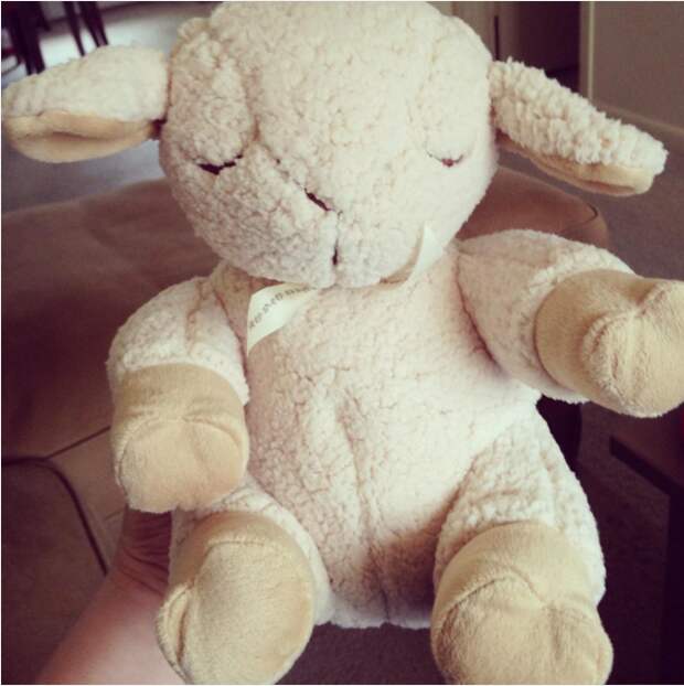 6. Убаюкивающая игрушка Sleep Sheep Cloud B 6. Убаюкивающая игрушка Sleep Sheep Cloud B дети, товар