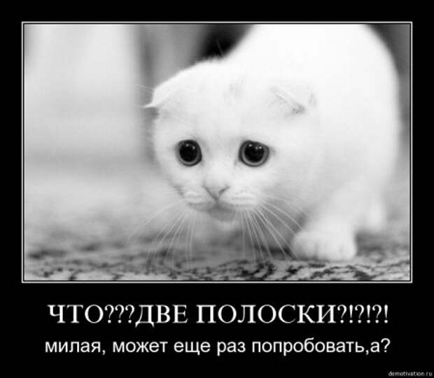 Демотиваторы прикольные которые заставляют задуматься.