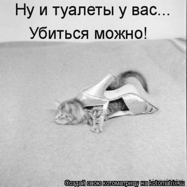 Несерьезные отношения (котоматрица)