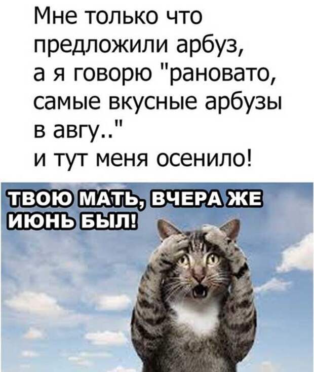 Осенило Осенило