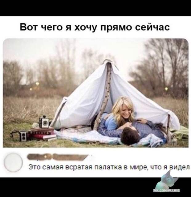 картинки из ваших энторнетов