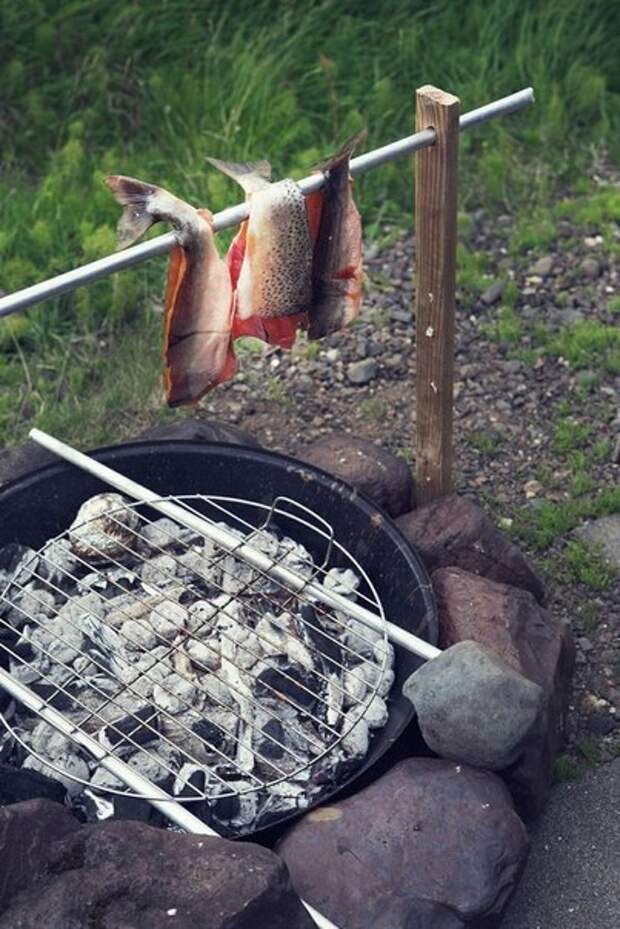 Все способы приготовления рыбы на природе