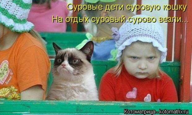 котоматрицы (50 фото)