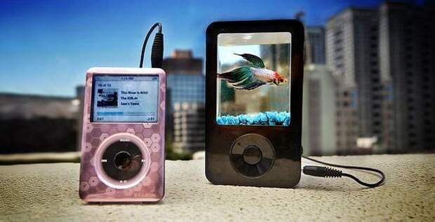 ipod аквариум