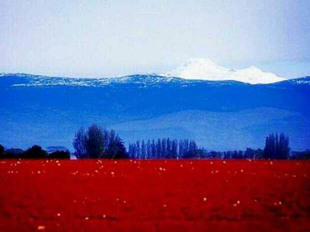 ОНФ собрал форум, посвящённый проблемам юга России