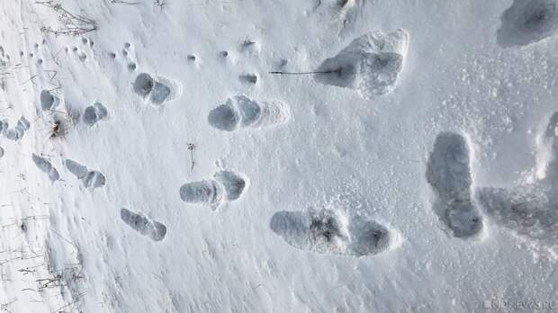 Уборка снега как фитнес: врач рассказал о пользе и рисках