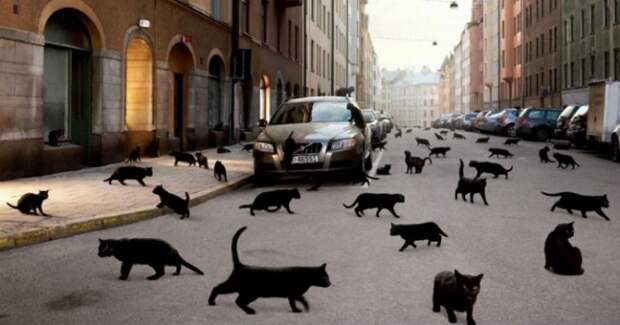 Сумасшедшие суеверия со всего мира Сумасшедшие суеверия со всего мира