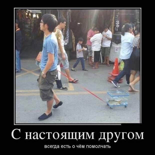www.vsyako.net