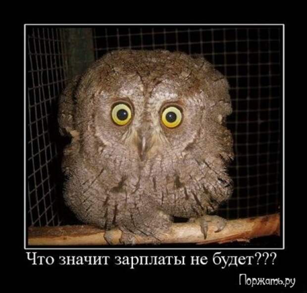 Демотив смешная подборка.