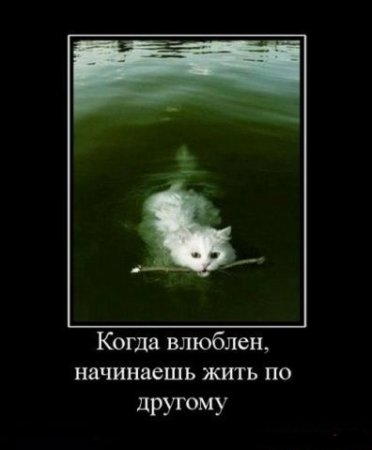 Демотиваторы со смыслом картинки.