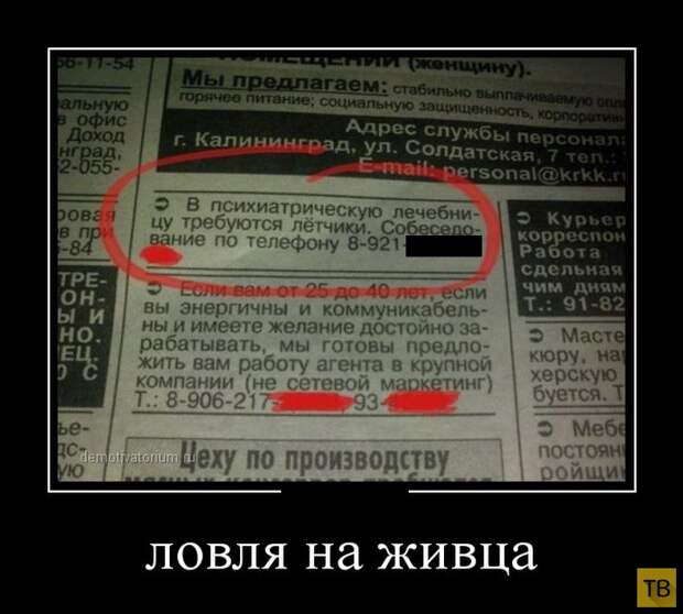 Демотиваторы (30 фото)
