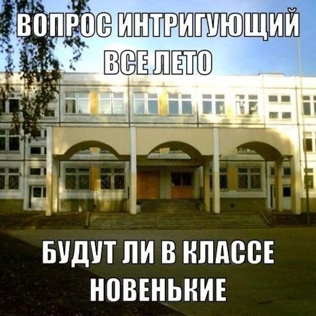 Смешные картинки с подписями картинки, прикол, юмор