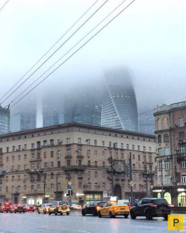Новая подборка прикольных фотографий