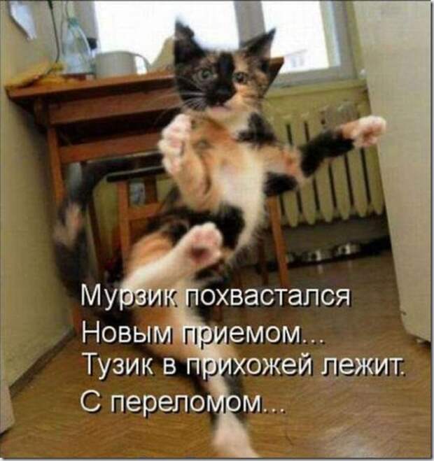 e6d6b6317b6cd3f40849f42a558_prev