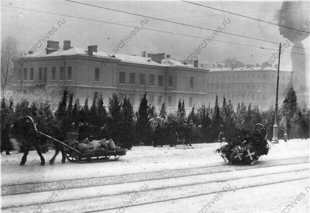 1913. Предпраздничный елочный базар 1913. Предпраздничный елочный базар