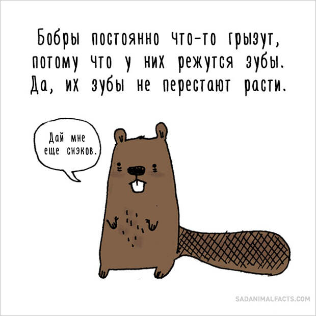 печальные факты о животных 