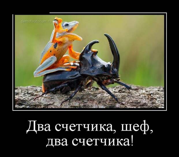 Демотиваторы (30 фото) Демотиваторы (30 фото)