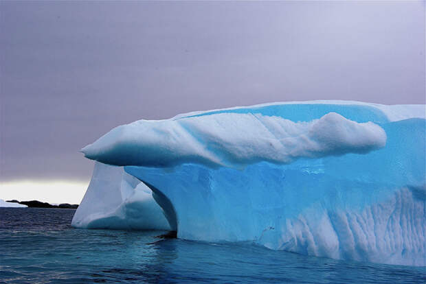 11. Ледниковый щит Антарктиды существует, по крайней мере, 40 миллионов лет. антарктида, факты