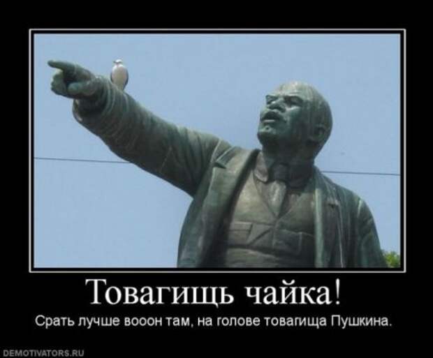Демотиваторы смешные про нашу русскую реальность.
