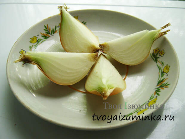 Лук на тарелке