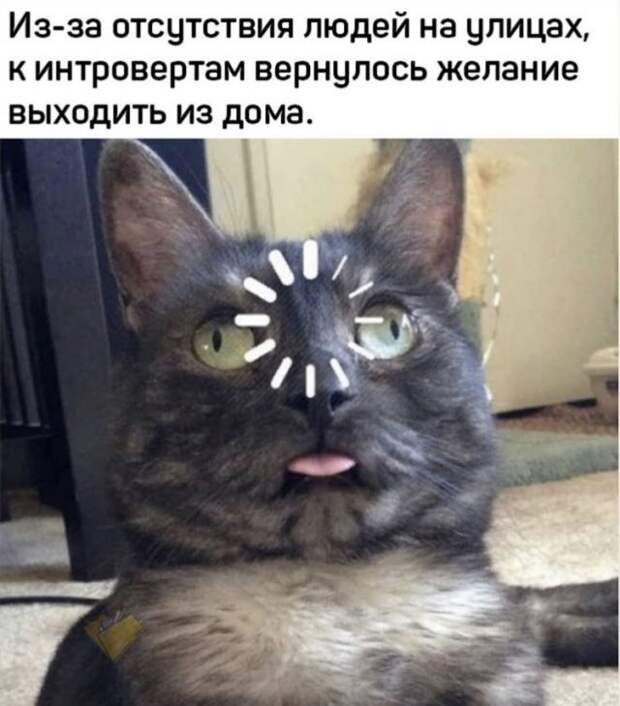 www.vsyako.net