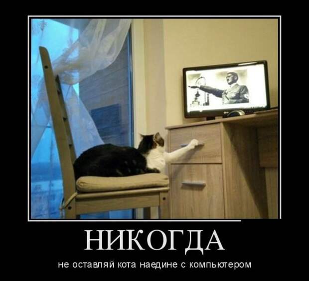 Подборка демотиваторов демотиватор, юмор