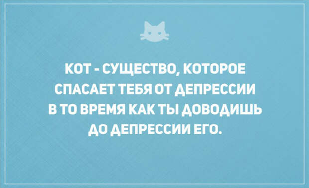 открытки о том, что без кота и жизнь не та (12)