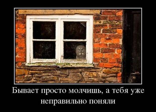 Демотиваторы (30 фото)