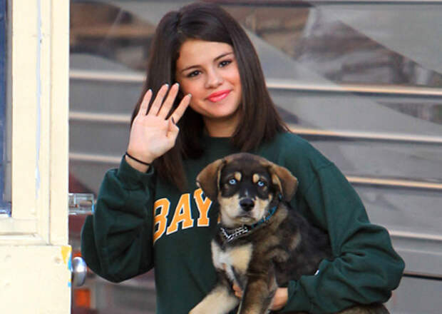 24 Celebs Who Literally Came To The Rescue For Their Pups