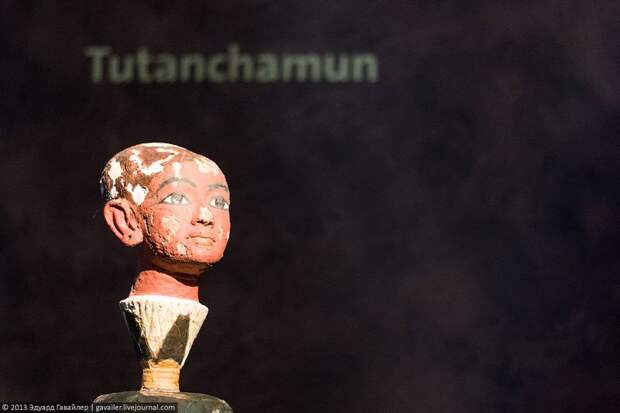 Гробница Тутанхамона выставка, гробница, фараон, царь