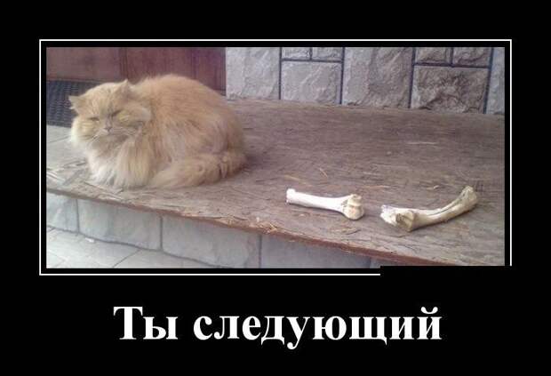 Подборка демотиваторов  демотиватор, юмор