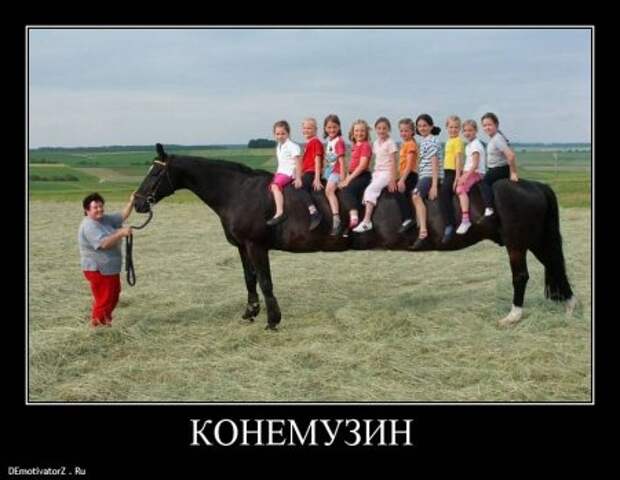 Демотиваторы приколы новые.
