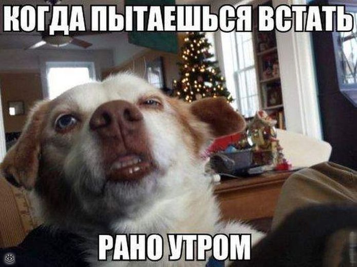 Смешнульки и приколюхи 43