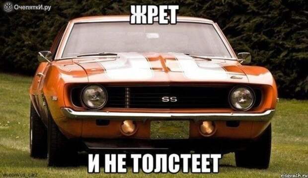 Дорожные приколизмы 16