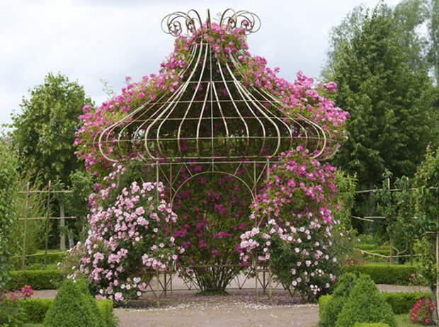 4497432_rosesinparks1 (670x500, 172Kb)