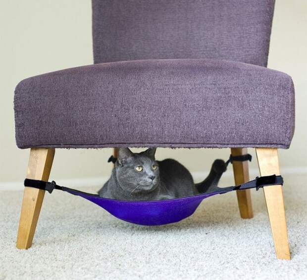 Гамак для котика