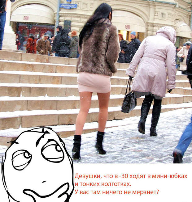 Холодно, зато красиво! Холодно, зато красиво! одежда, погода, прикол, холодно