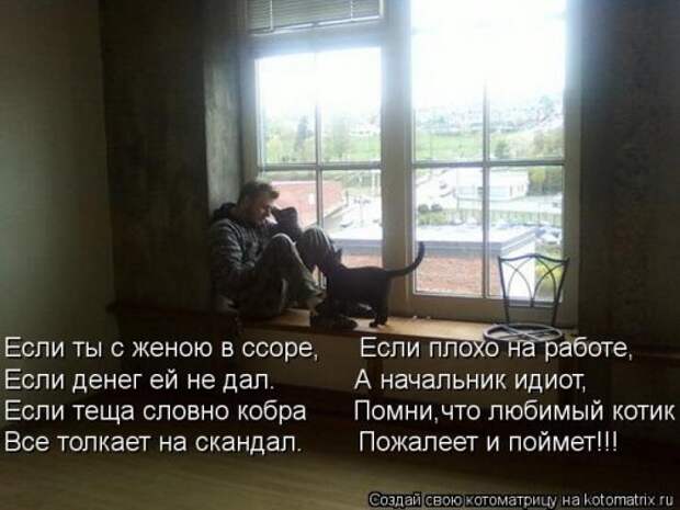 Лучшая котоматрица недели (26 шт)