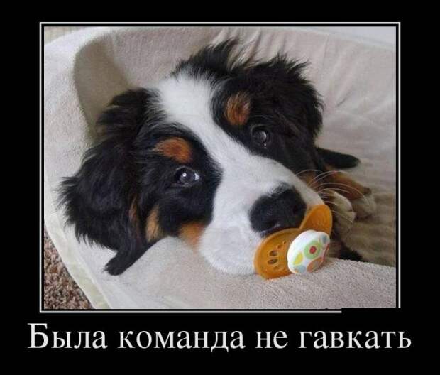 Демотиваторы (30 фото) Демотиваторы (30 фото)