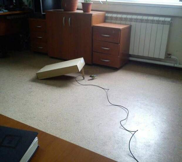 Прикольные картинки. прикол, прикольные картинки, юмор