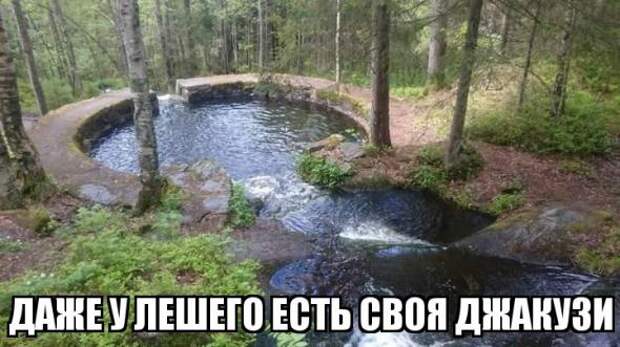 Картинки, юмор, приколы