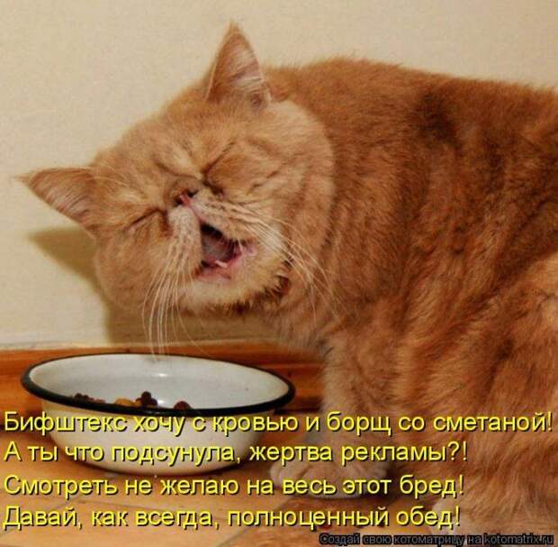 Мысли вслух :)