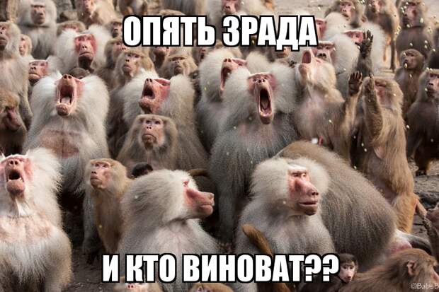 Хохлосрач на цензоре из за фильма политика, факты