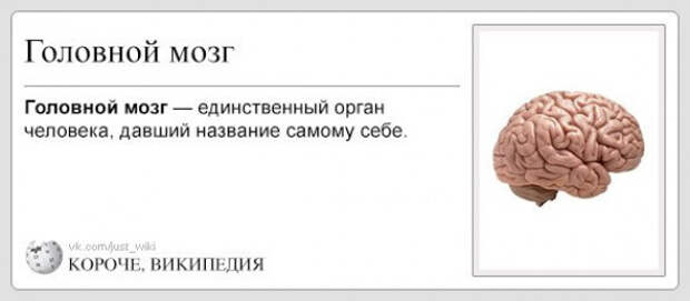 короче википедия (23)