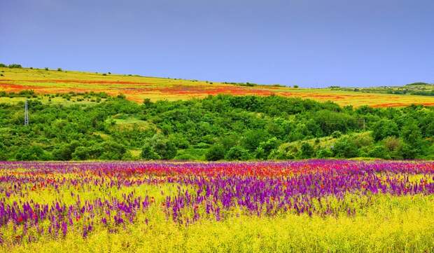 4. Пловдив, Болгария весна, красота, планета, природа